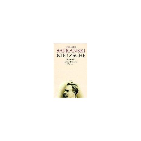 Afbeelding van Nietzsche : Biographie seines Denkens