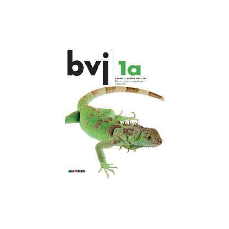 Afbeelding van BVJ 6e dr : 1 vmbo-kgt A : Handboek Afbeelding van BVJ 6e dr : 1 vmbo-kgt A : Handboek