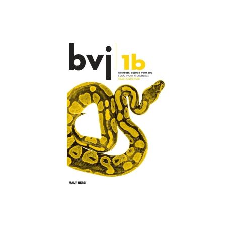 Afbeelding van BVJ 6e dr : 1 vmbo-t/havo/vwo B : Werkboek