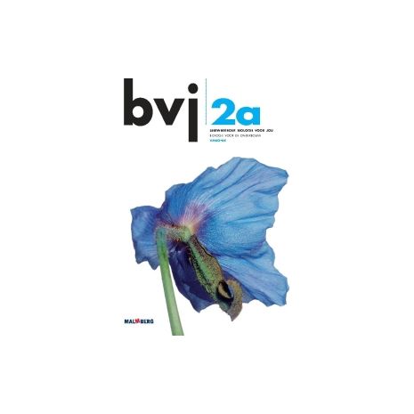 Afbeelding van BVJ 6e dr : 2 vmbo-bk A : Leerwerkboek