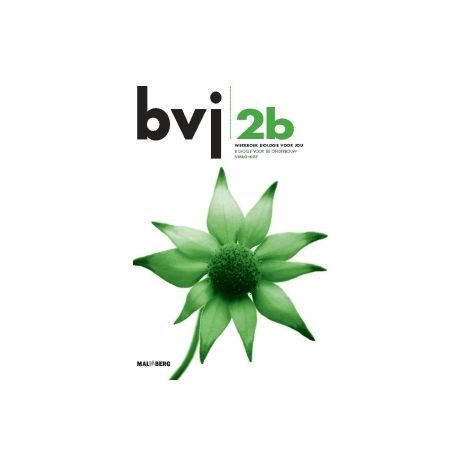 Afbeelding van BVJ 6e dr : 2 vmbo-kgt B : Werkboek