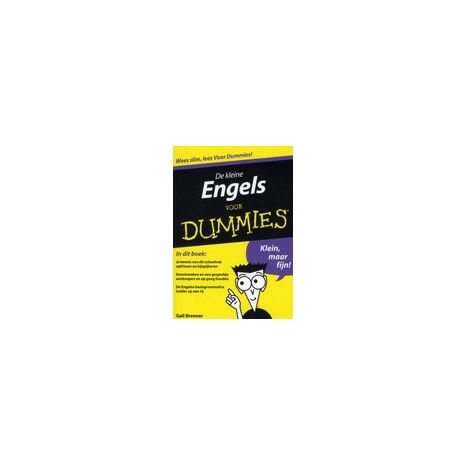 Afbeelding van De kleine Engels voor dummies