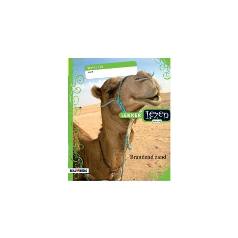Afbeelding van Lekker lezen Bovenbouwpakket : 8 : Brandend zand : Werkboek
