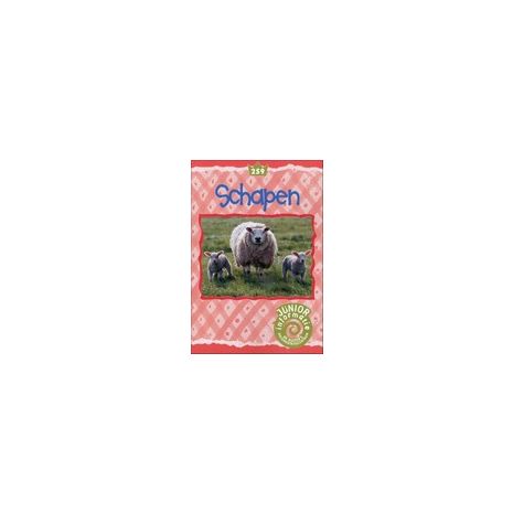 Afbeelding van Schapen (Junior informatie) Afbeelding van Schapen (Junior informatie)