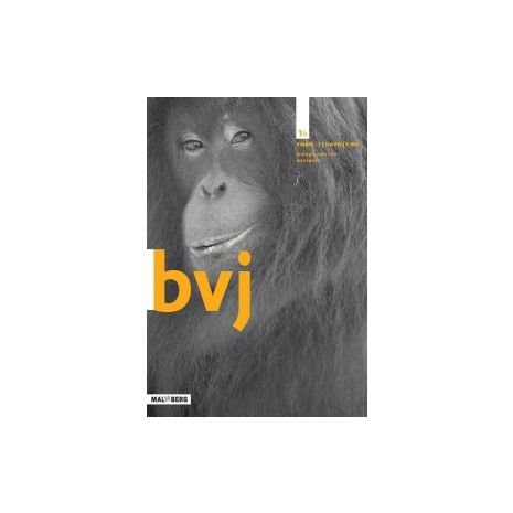 Afbeelding van BVJ 7e ed : 1 vmbo-t/havo/vwo B : Werkboek Afbeelding van BVJ 7e ed : 1 vmbo-t/havo/vwo B : Werkboek