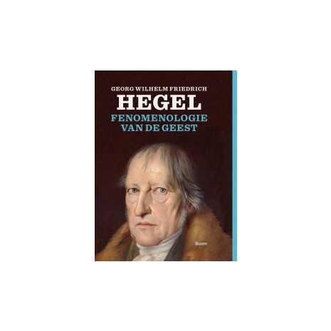 Afbeelding van Fenomenologie van de geest