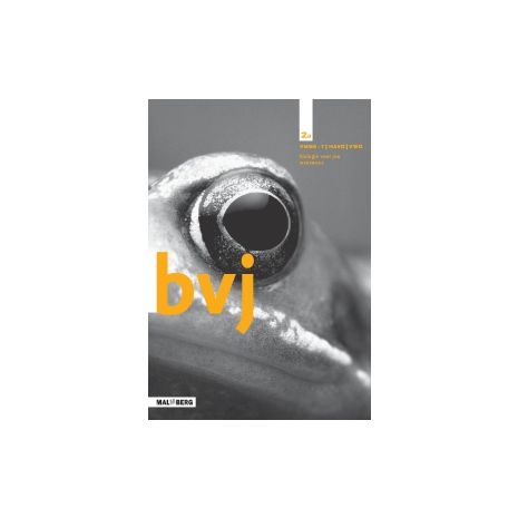 Afbeelding van BVJ 7e ed : 2 vmbo-t/havo/vwo A : Werkboek Afbeelding van BVJ 7e ed : 2 vmbo-t/havo/vwo A : Werkboek