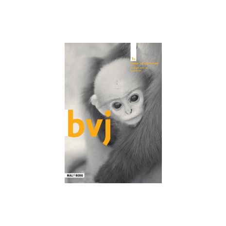 Afbeelding van BVJ 7e ed : 1 vmbo-t/havo/vwo AB : Werkboek