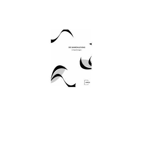 Afbeelding van LWEO Fundament 5e dr : 3 havo/vwo : 2 De Samenleving : Uitwerkingen Afbeelding van LWEO Fundament 5e dr : 3 havo/vwo : 2 De Samenleving : Uitwerkingen