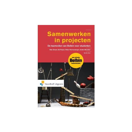 Afbeelding van Samenwerken in projecten
