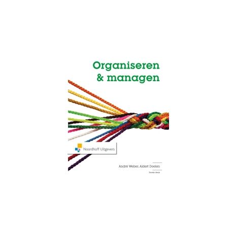 Afbeelding van Organiseren & managen : het 7S-model toegepast