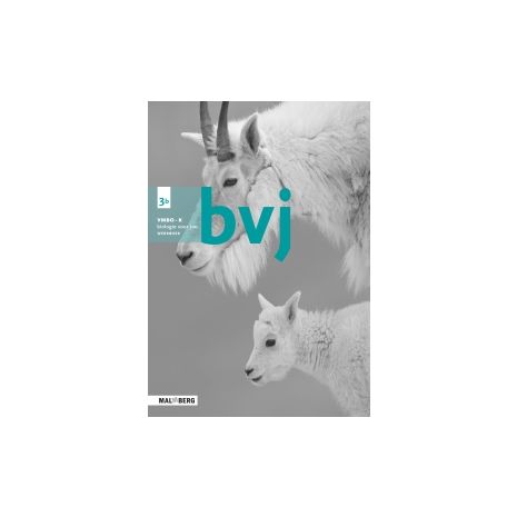 Afbeelding van BVJ 7e ed : 3 vmbo-k B : Werkboek