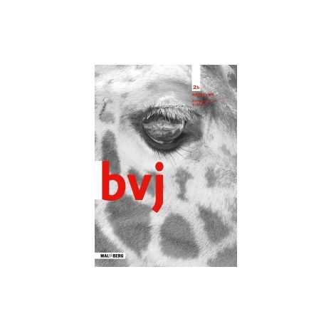 Afbeelding van BVJ 7e ed : 2 havo/vwo AB : Werkboek