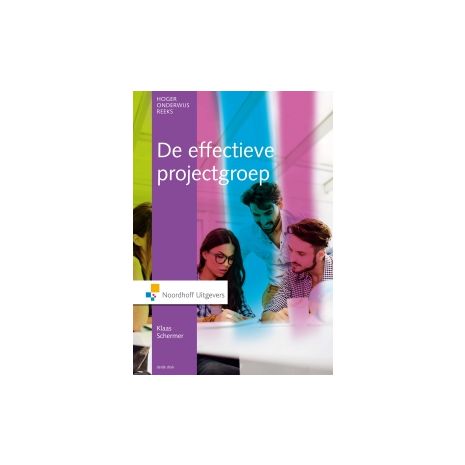 Afbeelding van De effectieve projectgroep