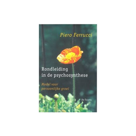 Afbeelding van Rondleiding in de psychosynthese