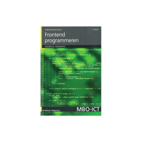 Afbeelding van Frontend programmeren