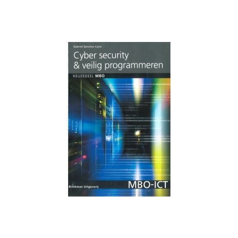 Afbeelding van Cyber security & veilig programmeren