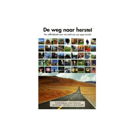 Afbeelding van De weg naar herstel