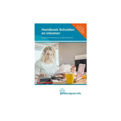 Afbeelding van Juridischjuist.info : Handboek Schulden en inkomen