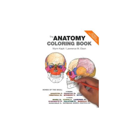 Afbeelding van The anatomy coloring book