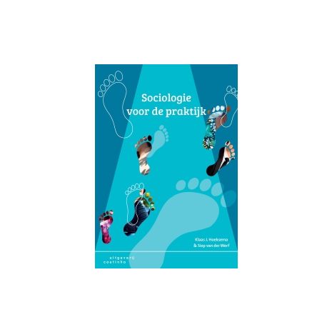 Afbeelding van Sociologie voor de praktijk 8e herz. druk