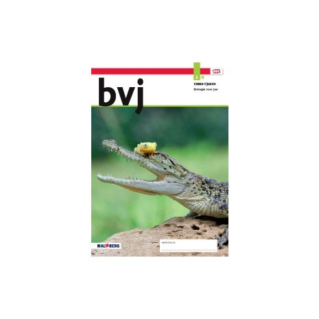 Afbeelding van BVJ - MAX - : 1 vmbo t/havo B : Leerwerkboek Afbeelding van BVJ - MAX - : 1 vmbo t/havo B : Leerwerkboek