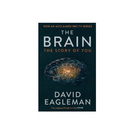 Afbeelding van The brain : the story of you