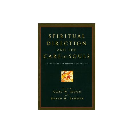 Afbeelding van Spiritual direction and the care of souls Afbeelding van Spiritual direction and the care of souls