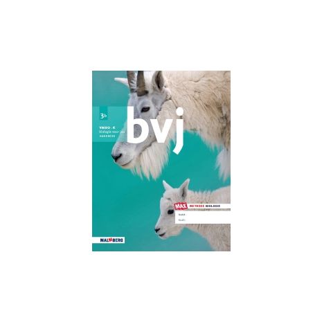 Afbeelding van BVJ - MAX - : 3 vmbo-k A : Werkboek Afbeelding van BVJ - MAX - : 3 vmbo-k A : Werkboek