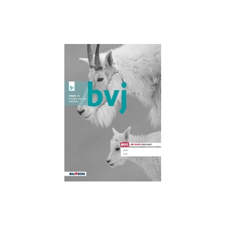 Afbeelding van BVJ - MAX - : 3 vmbo-k B : Werkboek