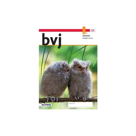 Afbeelding van BVJ - MAX - : 2 havo/vwo A : Leeropdrachtenboek