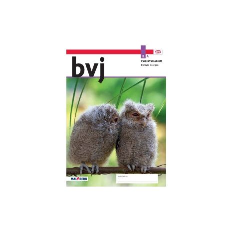 Afbeelding van BVJ - MAX - : 2 vwo/gym A : Leeropdrachtenboek