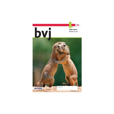 Afbeelding van BVJ - MAX - : 2 vmbo-t/havo B : Leerwerkboek
