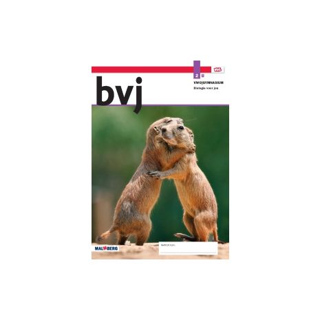Afbeelding van BVJ - MAX - : 2 vwo/gym B : Leeropdrachtenboek