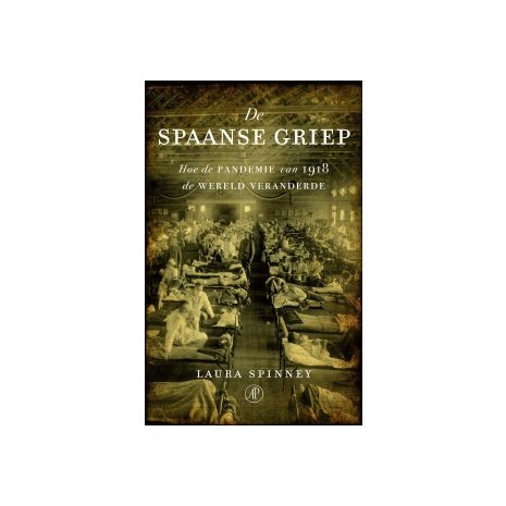 Afbeelding van De Spaanse griep Afbeelding van De Spaanse griep