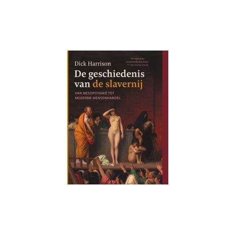 Afbeelding van De geschiedenis van de slavernij