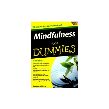 Afbeelding van Mindfulness voor dummies Afbeelding van Mindfulness voor dummies