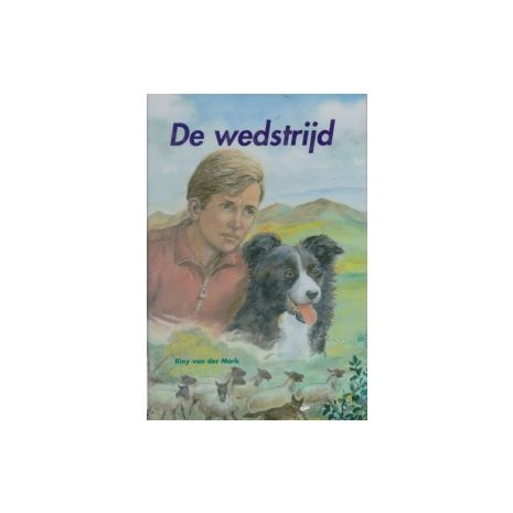 Afbeelding van De wedstrijd