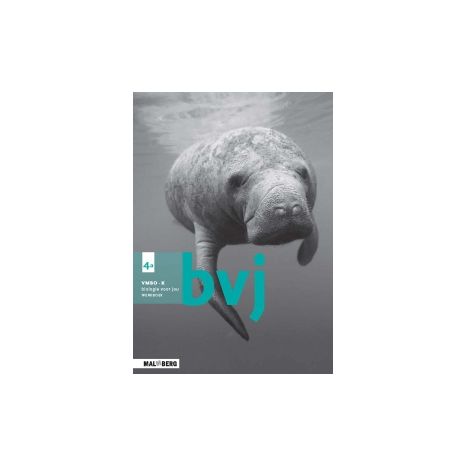 Afbeelding van BVJ 7e ed : 4 vmbo-k AB : Werkboek