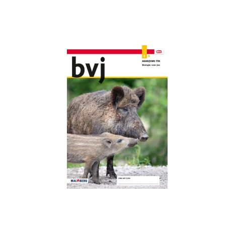 Afbeelding van BVJ - MAX - : 1 havo A : Leeropdrachtenboek Afbeelding van BVJ - MAX - : 1 havo A : Leeropdrachtenboek