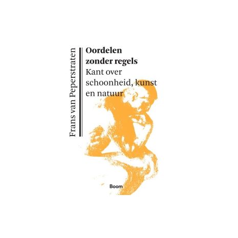 Afbeelding van Oordelen zonder regels