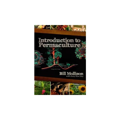 Afbeelding van Introduction to permaculture