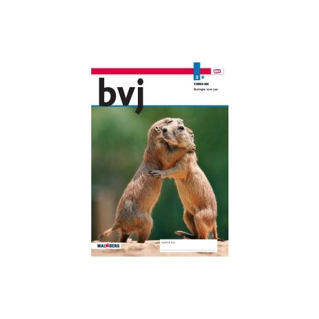 Afbeelding van BVJ - MAX - : 2 vmbo-bk B : Leerwerkboek Afbeelding van BVJ - MAX - : 2 vmbo-bk B : Leerwerkboek