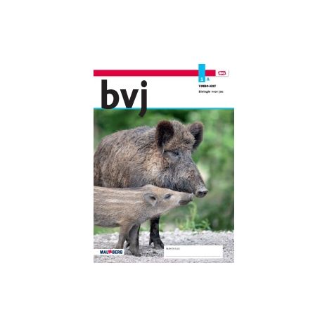 Afbeelding van BVJ - MAX - : 1 vmbo-kgt A : Leerwerkboek Afbeelding van BVJ - MAX - : 1 vmbo-kgt A : Leerwerkboek