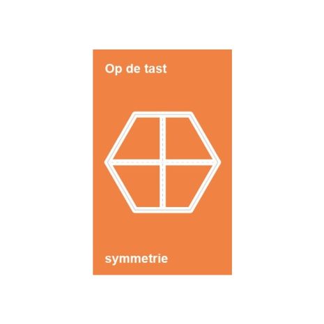 Afbeelding van Op de tast... : Symmetrie : Basisonderwijs