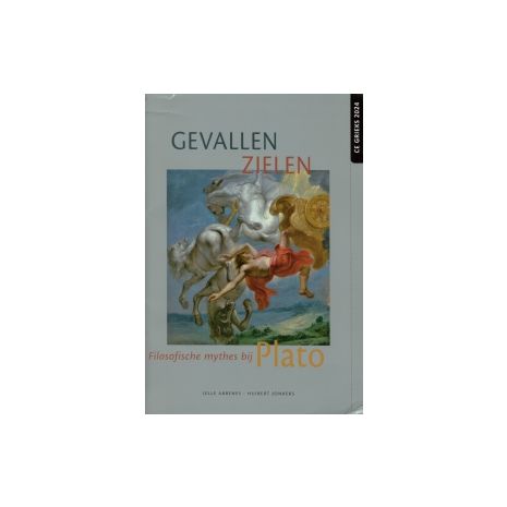 Afbeelding van Gevallen zielen : Leerlingboek Afbeelding van Gevallen zielen : Leerlingboek