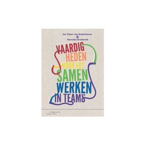 Afbeelding van Vaardigheden voor het samenwerken in teams