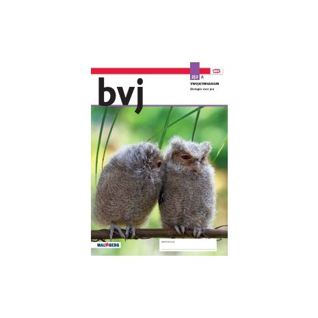 Afbeelding van BVJ 8.1 - MAX - : 2+3 vwo/gym A : Leeropdrachtenboek
