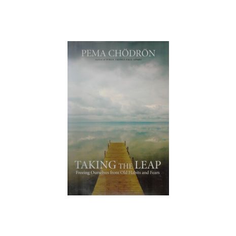 Afbeelding van Taking the leap