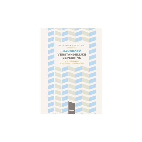 Afbeelding van Handboek verstandelijke beperking